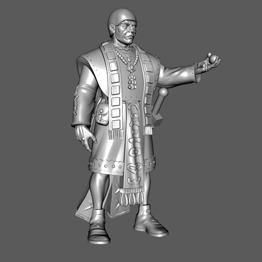 PR01b Hnalla Priest with "Eye", Human, 28mm